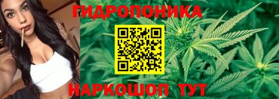 эйфоретик Берёзовский