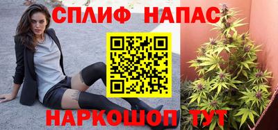 эйфоретик Берёзовский