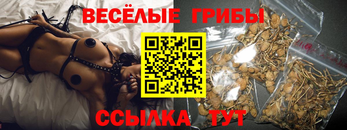 Карталы  Галлюциногенные грибы прущие грибы  Вход с VPN 